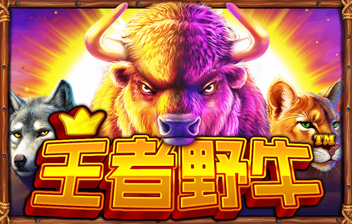 k1体育平台入口
